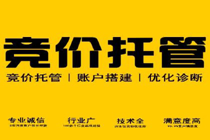 百度竞价排名优化技巧与成功案例分享